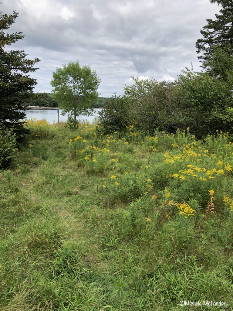 Late season forage and nest site.